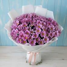 Букет цветов из:  Хризантемы в Новый Свет