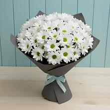 Букет цветов из:  Хризантемы #REPLACE_PRED# Новый Свет