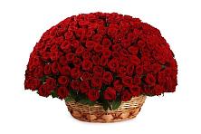 Премиум букет из: Розы #REPLACE_PRED# Новый Свет