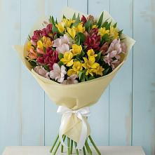 Букет цветов из:  Альстромерии в Новый Свет